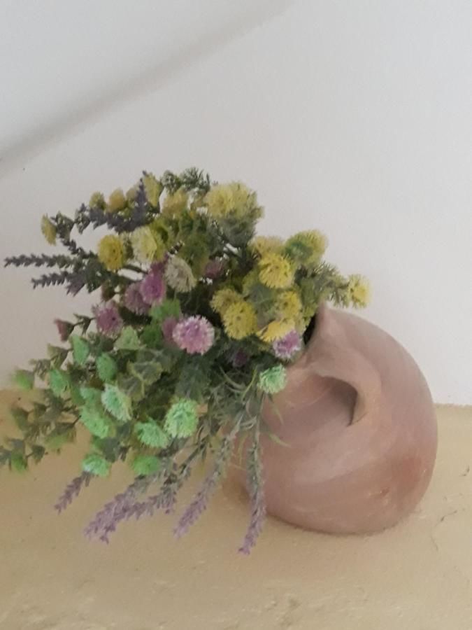 Апартаменты Apartments Teodora Obala Петровац-14