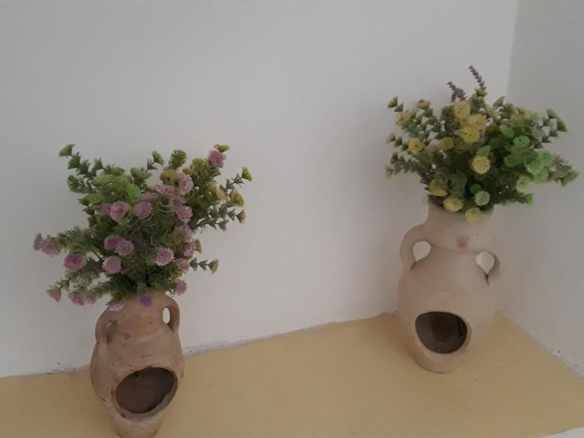 Апартаменты Apartments Teodora Obala Петровац-15