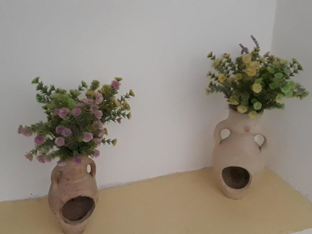 Апартаменты Apartments Teodora Obala Петровац-56